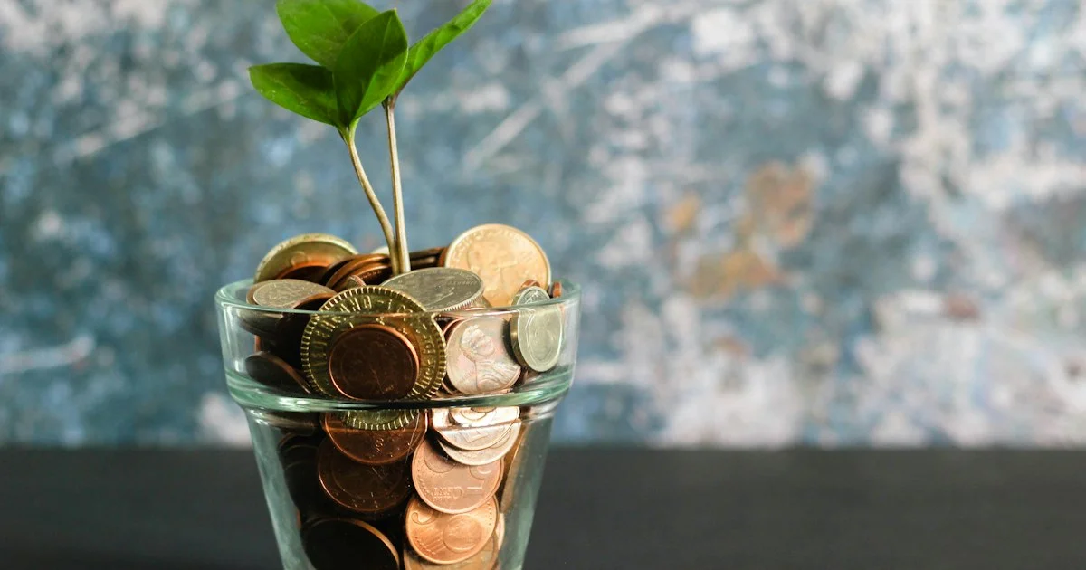 How to Plan Your Backlink Budget