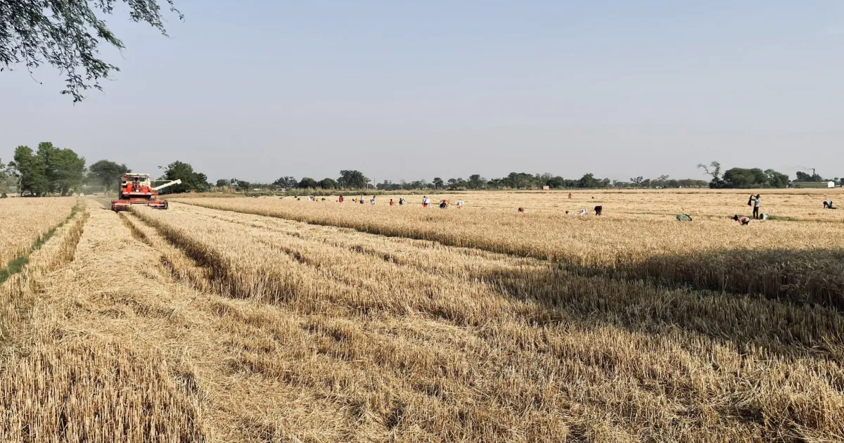 Sponsored Content for Agriculture Businesses